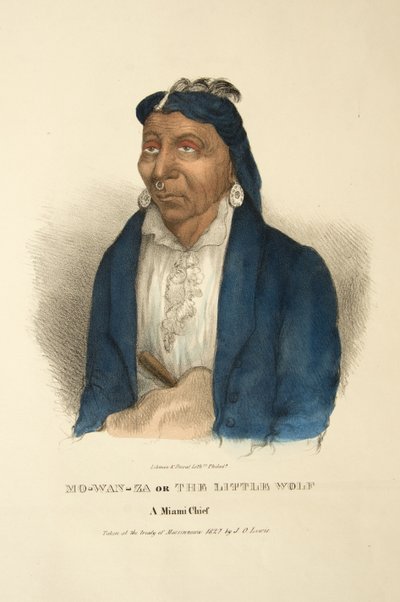 Mo-wan-za o Il Piccolo Lupo da James Otto Lewis